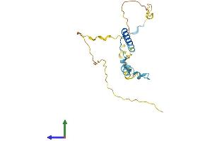 Protein Structure (PS) image for Intraflagellar Transport 43 Homolog (IFT43) (AA 1-206) protein (His tag) (ABIN7561209)