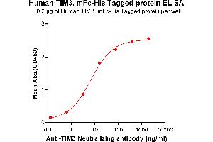 ELISA plate pre-coated by 2 μg/mL (100 μL/well) Human TIM3, mFc-His tagged protein (ABIN6961103) can bind Anti-TIM3 Neutralizing antibody in a linear range of 0.