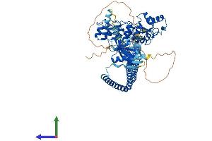 AlphaFold protein structure predicition of Human Recombinant ACAP1 Protein, UniprotID Q15027 (ACAP1 Protein (AA 1-740) (His tag))