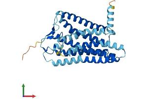 AlphaFold protein structure predicition of Human Recombinant OR10A4 Protein, UniprotID Q9H209 (OR10A4 Protein (AA 1-315) (His tag))