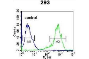 Flow cytometric analysis of 293 cells using KARS Antibody (N-term) Cat. (KARS antibody  (N-Term))