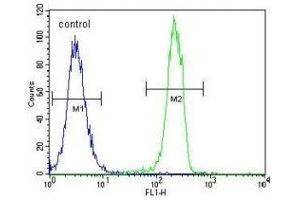 CT45A1 antibody flow cytometric analysis of K562 cells (green) compared to a negative control cell (blue). (CT45A1 antibody  (AA 1-30))