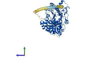 AlphaFold protein structure predicition of Mouse Recombinant Galnt3 Protein, UniprotID P70419