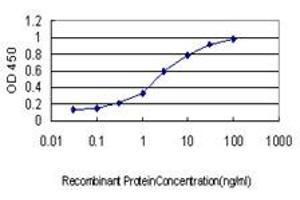 Detection limit for recombinant GST tagged TRAPPC4 is approximately 0. (TRAPPC4 antibody  (AA 1-219))