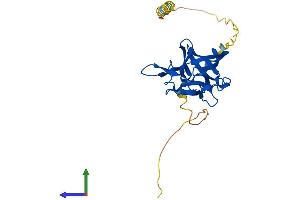 Protein Structure (PS) image for Fibroblast Growth Factor 13 (FGF13) (AA 1-245) protein (His tag) (ABIN7547569)