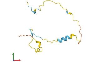 Protein Structure (PS) image for Proline Rich 15-Like (PRR15L) (AA 1-100) protein (His tag) (ABIN7559395)