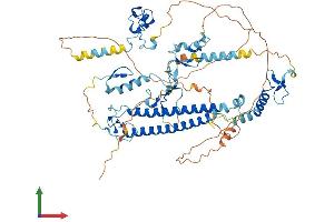 AlphaFold protein structure predicition of Mouse Recombinant Cxxc1 Protein, UniprotID Q9CWW7