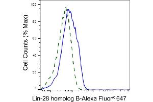 Validation of lin-28 homolog B knockdown using flow cytometry. (LIN28B antibody)