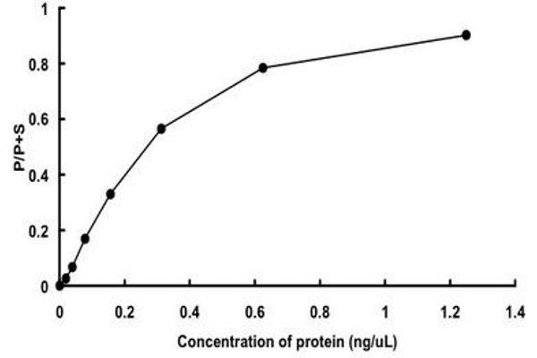 NEK2 Protein (AA 1-445) (GST tag)