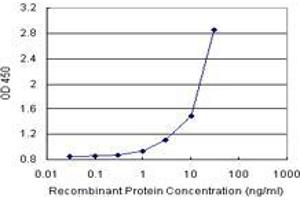 Sandwich ELISA detection sensitivity ranging from 1 ng/mL to 100 ng/mL. (FGF21 (Human) Matched Antibody Pair)