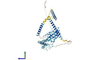 Protein Structure (PS) image for Nuclear Factor of kappa Light Polypeptide Gene Enhancer in B-Cells Inhibitor-Like 1 (NFKBIL1) (AA 1-381) protein (His tag) (ABIN7562701)