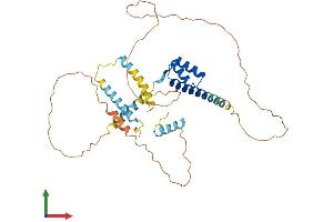 AlphaFold protein structure predicition of Mouse Recombinant Dmbx1 Protein, UniprotID Q91ZK4 (DMBX1 Protein (AA 1-381) (His tag))