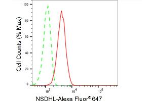 Flow cytometric analysis of NSDHL expression in HT- cells using NSDHL antibody (ABIN7799539), 1:2,000).