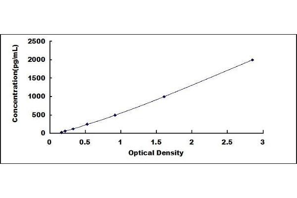 DUSP1 ELISA Kit