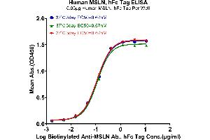 Immobilized Human MSLN Tag at 0. (Mesothelin Protein (MSLN) (AA 296-580) (Fc Tag))