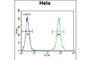 Flow cytometric analysis of Hela cells (right histogram) compared to a negative control cell (left histogram). (TRADD antibody  (AA 126-151))