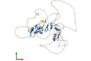 AlphaFold protein structure predicition of Human Recombinant ZBTB33 Protein, UniprotID Q86T24 (ZBTB33 Protein (AA 1-672) (His tag))