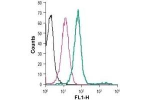 Cell surface detection of 5HT4 receptor in live intact human THP-1 monocytic leukemia cells: (black line) Cells. (Serotonin Receptor 4 antibody  (2nd Extracellular Loop) (FITC))