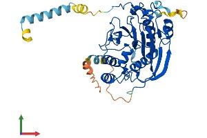 Protein Structure (PS) image for UDP-Gal:betaGlcNAc beta 1,4- Galactosyltransferase, Polypeptide 3 (B4GALT3) (AA 1-395) protein (His tag) (ABIN7560125)