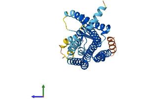 AlphaFold protein structure predicition of Human Recombinant OR5H6 Protein, UniprotID Q8NGV6 (OR5H6 Protein (AA 1-325) (His tag))