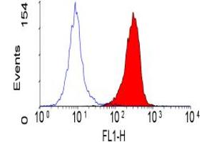 CD66acd antibody