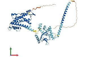 AlphaFold protein structure predicition of Mouse Recombinant Cnga4 Protein, UniprotID Q3UW12