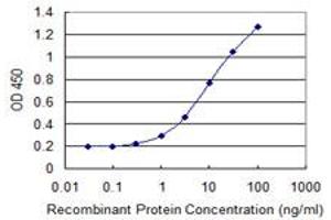 Detection limit for recombinant GST tagged CHST5 is 0. (CHST5 antibody  (AA 310-390))