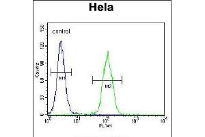 Flow cytometric analysis of Hela cells (right histogram) compared to a negative control cell (left histogram). (LMTK3 antibody  (N-Term))