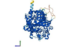 AlphaFold protein structure predicition of Mouse Recombinant Fpgt Protein, UniprotID G5E8F4