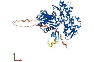 Protein Structure (PS) image for Actin-Like 7b (Actl7b) (AA 1-415) protein (His tag) (ABIN7551829)
