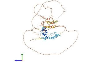 Protein Structure (PS) image for Ring Finger Protein, LIM Domain Interacting (RLIM) (AA 1-624) protein (His tag) (ABIN7555243)
