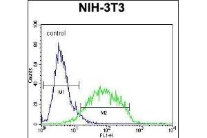 GCNT3 Antibody (C-term) (ABIN654928 and ABIN2844571) flow cytometric analysis of NIH-3T3 cells (right histogram) compared to a negative control cell (left histogram).