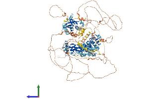 AlphaFold protein structure predicition of Human Recombinant ANKS1B Protein, UniprotID Q7Z6G8 (ANKS1B Protein (AA 1-1248) (His tag))