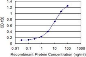Detection limit for recombinant GST tagged SULT2B1 is 0. (SULT2B1 antibody  (AA 1-90))