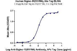 Immobilized Human Siglec-10 (R119A) , His Tag at 0. (SIGLEC10 Protein (AA 17-546, Arg119Ala-Mutant) (His-Avi Tag))