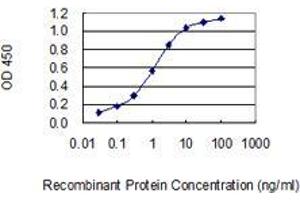 Detection limit for recombinant GST tagged GABRE is 0. (GABRE antibody  (AA 1-100))