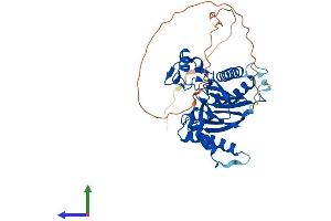 AlphaFold protein structure predicition of Human Recombinant ILKAP Protein, UniprotID Q9H0C8