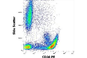 Flow cytometry surface staining pattern of human peripheral whole blood stained using anti-human CD36 (CB38) PE antibody (10 μL reagent / 100 μL of peripheral whole blood). (CD36 antibody  (PE))