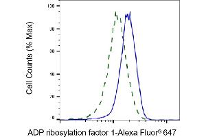 Validation of ADP ribosylation factor 1 knockdown using flow cytometry. (Recombinant ARF1 antibody)