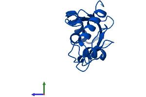 Protein Structure (PS) image for Ubiquitin-Conjugating Enzyme E2N (UBE2N) (AA 1-152) protein (His tag) (ABIN7555876)
