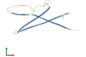 AlphaFold protein structure predicition of Mouse Recombinant Rabep2 Protein, UniprotID Q91WG2 (RABEP2 Protein (AA 1-554) (His tag))
