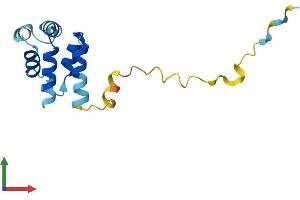AlphaFold protein structure predicition of Mouse Recombinant Pea15 Protein, UniprotID Q62048 (PEA15 Protein (AA 1-130) (His tag))