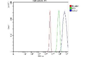 Flow Cytometry analysis of Jurkat cells using anti-SDE2 antibody (ABIN7599603). (C1orf55 antibody  (AA 10-447))