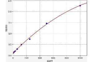 SLC11A2 ELISA Kit