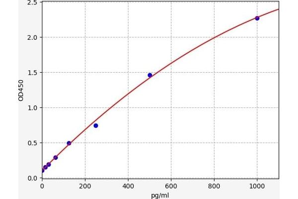 SLC11A2 ELISA Kit