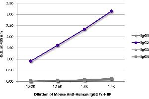 ELISA plate was coated with purified human IgG1, IgG2, IgG3, and IgG4. (Mouse anti-Human IgG2 (Fc Region) Antibody (HRP))
