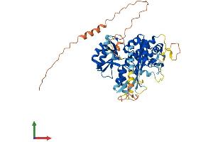 AlphaFold protein structure predicition of Human Recombinant LGSN Protein, UniprotID Q5TDP6 (LGSN Protein (AA 1-509) (His tag))