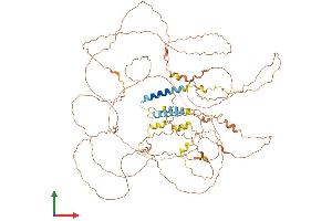 AlphaFold protein structure predicition of Mouse Recombinant Perm1 Protein, UniprotID Q149B8 (C1ORF170 Protein (AA 1-807) (His tag))