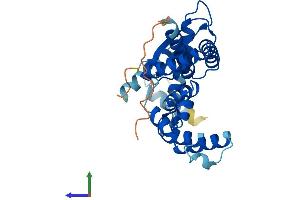 Protein Structure (PS) image for Lix1 Homolog (LIX1) (AA 1-282) protein (His tag) (ABIN7557994)