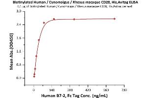 ELISA image for CD28 (CD28) (AA 19-152) (Active) protein (His tag,AVI tag,Biotin) (ABIN6972981)